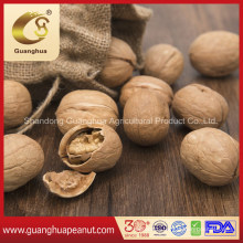 Good Quality and Best Taste Walnut in Shell